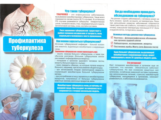 Профилактика туберкулеза Профилактика туберкулеза.