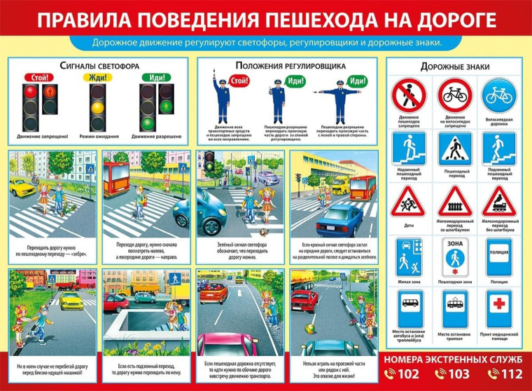 Правила дорожного движения.