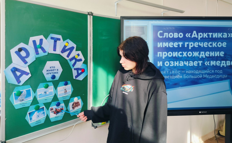 Арктика.
